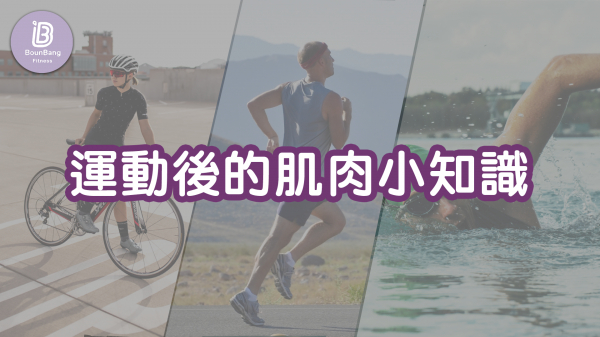 健身知識-【健身知識】運動後的肌肉