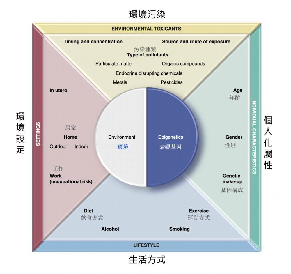 https://www.bounbang.com/blog/955f0d33-52b9-4982-a029-19c2eb7df66f.png