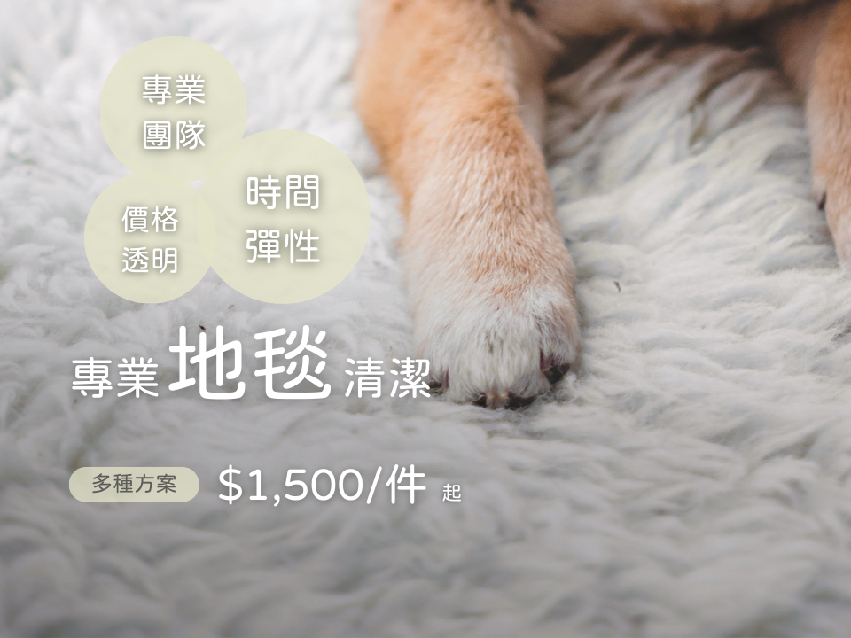 地毯清洗、線上快速預訂