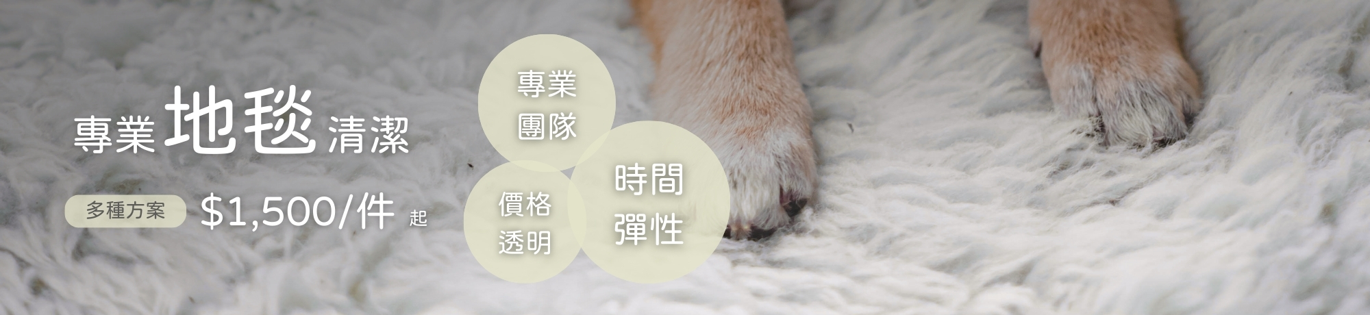 地毯清洗、線上快速預訂