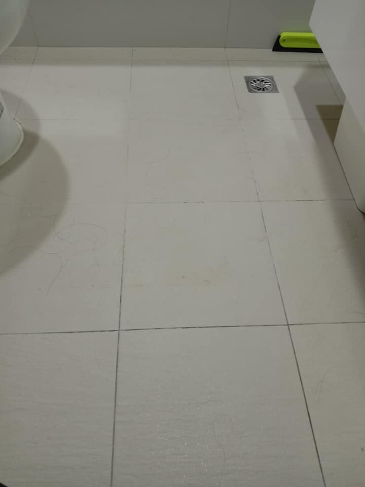 地板黴菌清除