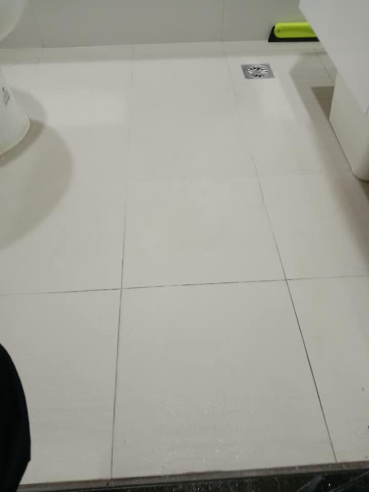 地板黴菌清除