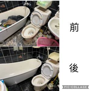 https://www.bounbang.com/product/small/d801cc41620ce59a.jpeg