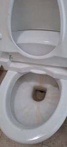 https://www.bounbang.com/product/small/dddbb327675a24d5.jpg